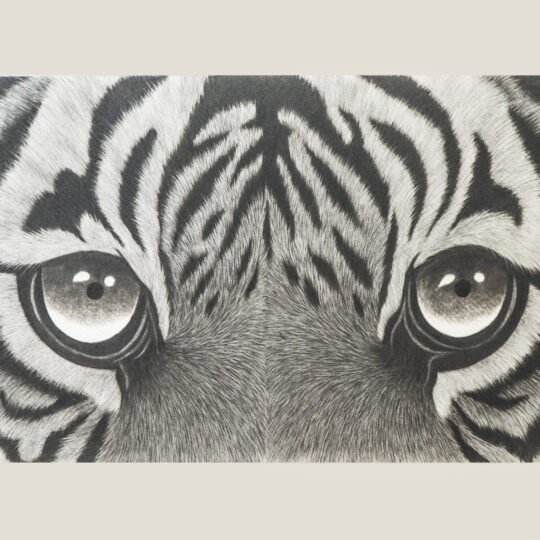 Wildlife Art